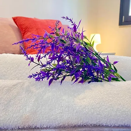 Casa Spaziosa Con Giardino E Piscina Nel Appartement *